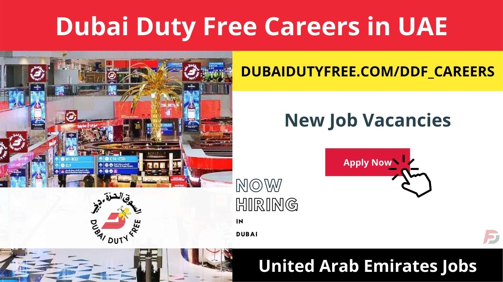 Dubai Duty Free Careers in UAE 2024 New Job Vacancies